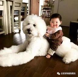 老二狗的外婆爆料视频下载  第1张